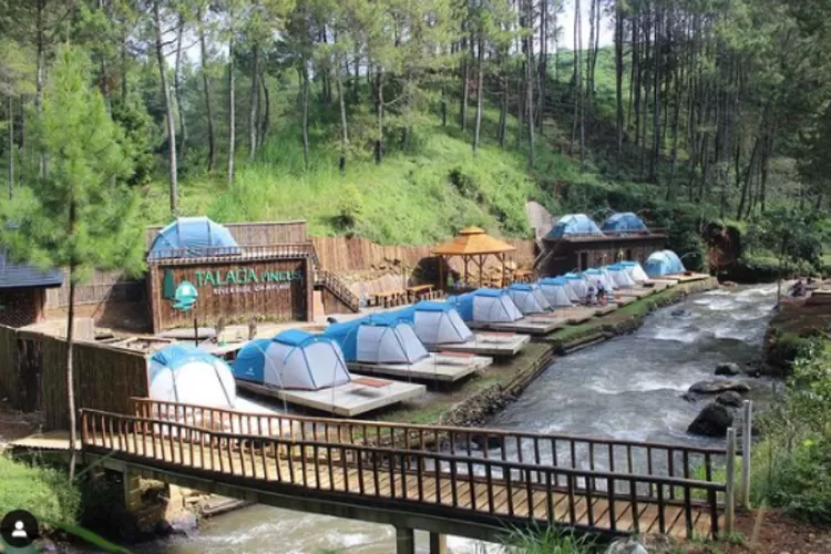 Talaga Pineus Riverside Camping Tempat Untuk Menjadi Penyegaran Pikiran dan Tempat yang Asik Untuk Menghabiskan Waktu ( Instagram/ @talagapineuscamp)