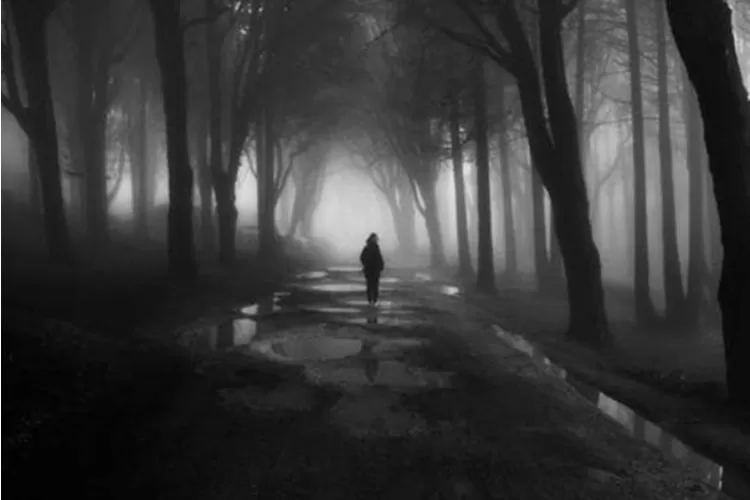 Kembang Laruk, cerita horor karya Simple Man yang tidak kalah ngeri dari KKN di Desa Penari atau Sewu Dino. ( Foto: Twitter @SimpleM81378523)