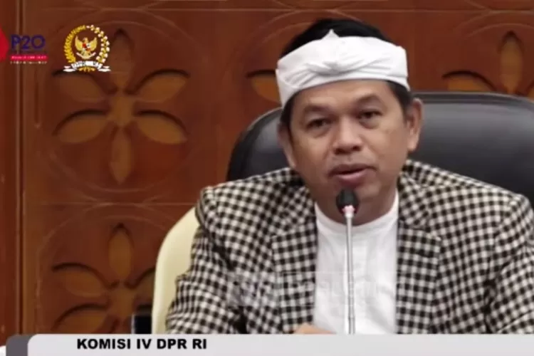 Wakil Ketua Komisi IV DPR RI Dedi Mulyadi. (Tangkapan layar YouTube/Komisi IV DPR RI Channel)