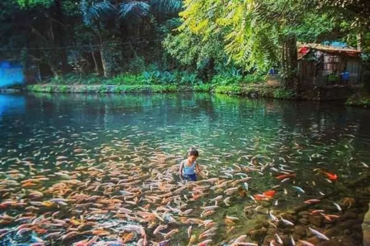 Destinasi wisata Salatiga (Instagram/@saungamba)