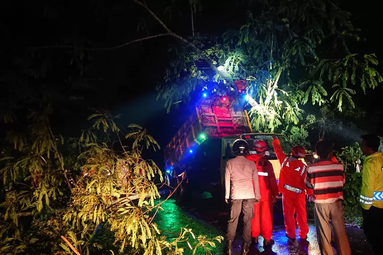  Petugas menyingkirkan pohon yang tumbang dari kejadian angin ribut yang menghantam Temanggung (Dok BPBD Temanggung)