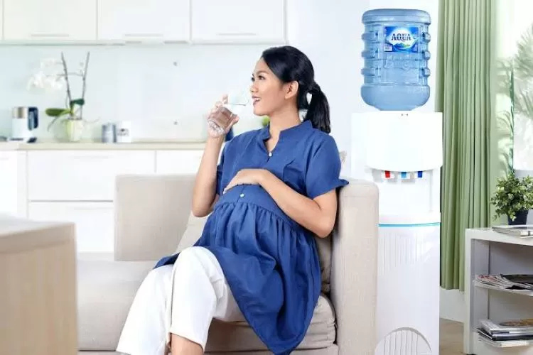 Ilustrasi ibu hamil. (istimewa)