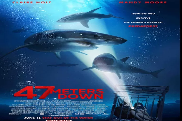 Sinopsis Film 47 Meters Down Tayang 9 September 2022 Bioskop Trans TV Pukul 21.30 WIB Dibintangi Mandy Moore Genre Thriller (IMDb)