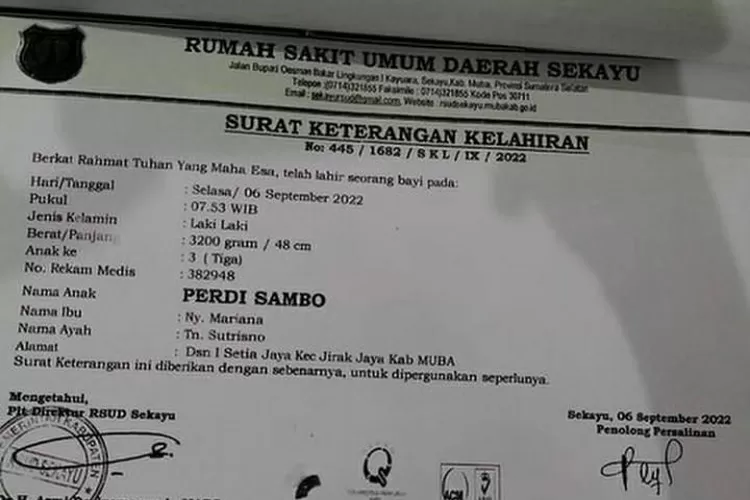 Bayi yang diberi nama Perdi Sambo (Instagram/insta.nyinyir)