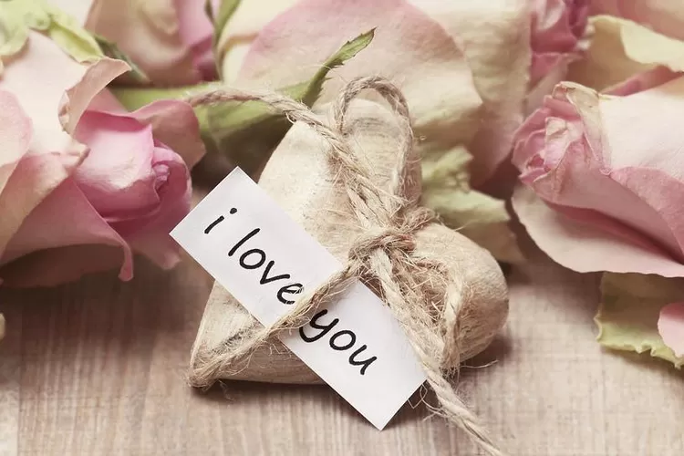 Cinta dan Fakta Unik berdasarkan penelitian (Pixabay/pixel2013)