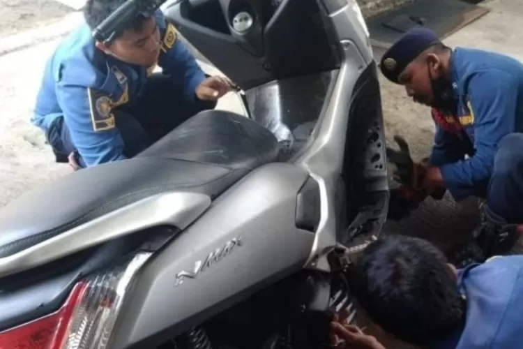 Petugas pemadam kebakaran Kabupaten Bogor saat mengevakuasi seekor ular dari dalam motor mlik salah satu warga Cibinong, Kabupaten Bogor (Foto/Istimewa)