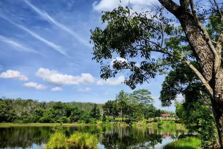 Destinasi wisata Danau Sari Embun di Tanah Laut, Kalimantan Selatan. (Instagram)