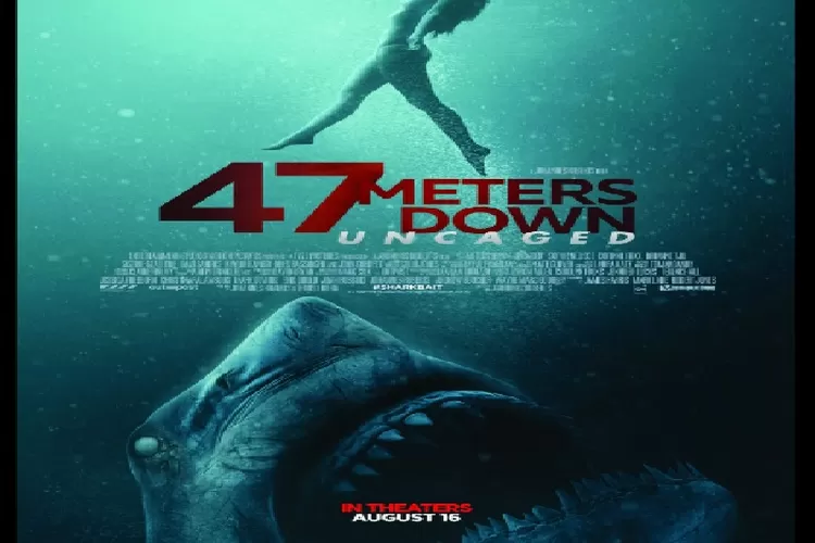 Sinopsis Film 47 Meters Down: Uncaged Tayang 16 September 2022 di Bioskop Trans TV Genre Horor Survival Jangan Kelewatan (IMDb)