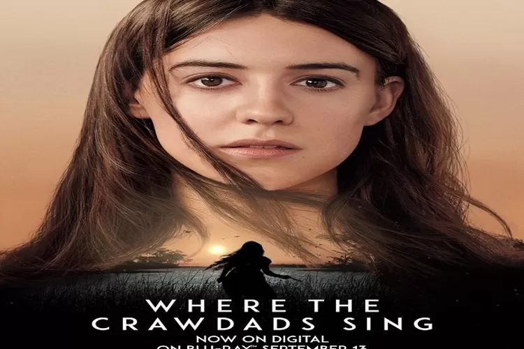 Sinopsis Film Where The Crawdads Sing Tayang Sejak 14 September 2022 di CGV Indonesia Dibintangi Daisy Edgar Adaptasi Novel ( www.instagram.com/@crawdadsmovie)