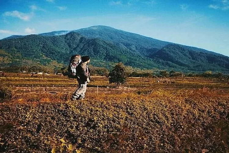 Taman Nasional Gunung Ciremai, salah satu destinasi wisata yang hits di Kuningan. (Akun Instagram @explore_ciremai)