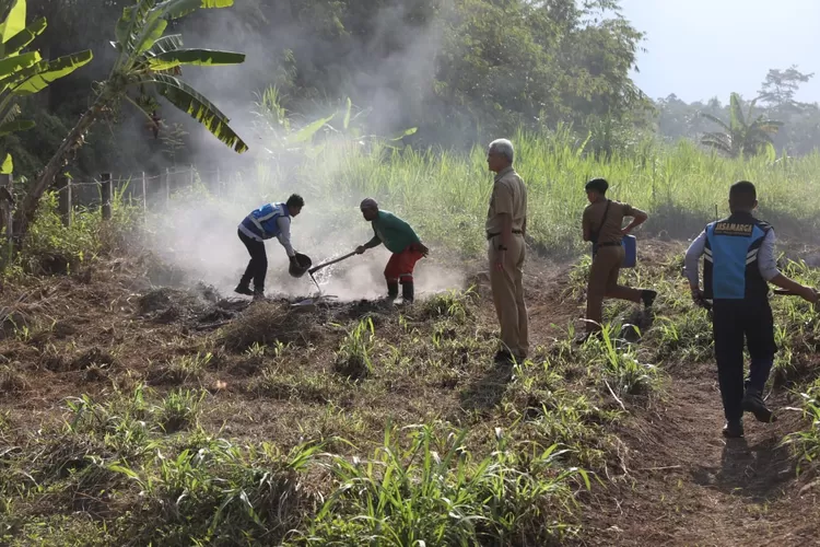 Gubernur Jawa Tengah Ganjar Pranowo saat ikut mematikan api bakaran rumput di jalan Tol. (Pemprov Jateng)