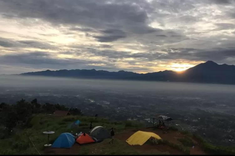 Destinasi wisata Bukit Alesano Camp Ground di Bogor. (Instagram @jejaksalak.id)
