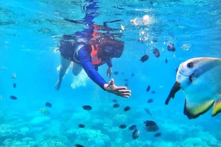 Pulau Maratua, menjadi salah satu top spot diving dan snorkeling terpopuler di Berau Kalimantan Timur. (Instagram @ayvionhere)