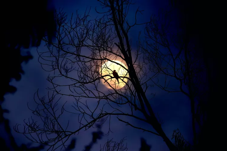 Kisah horor kecelakaan kereta di Paledang. (Pexels/Shakhawat Shaon)