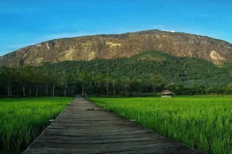 Potret Bukit Kelam, destinasi wisata alam di Sintang, Kalimantan Barat. ( Instagram @unik_info)