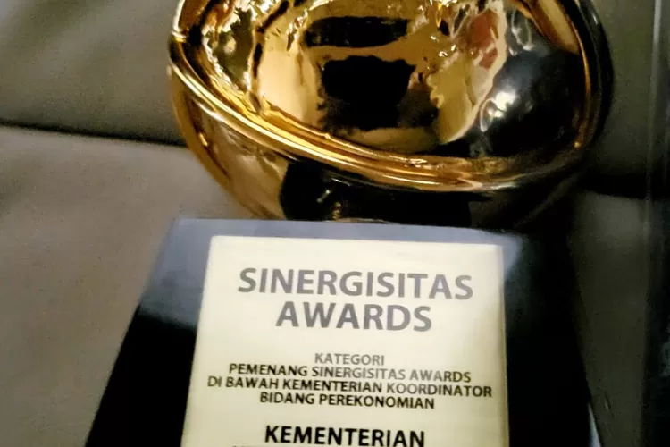 Sinergisitas Awards 2022.