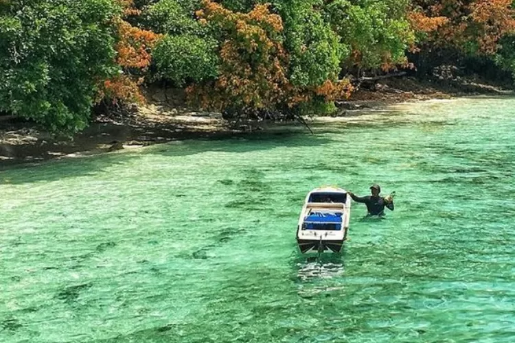 Danau Kakaban, destinasi wisata alam di Maratua, Kalimantan Timur. (Instagram @kamutropis)