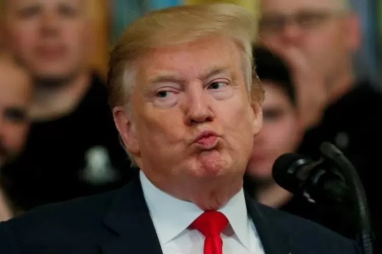 Potret Donald Trump  (Pinterest )