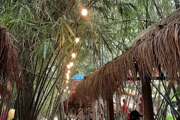 Potret hidden gem Hutan Bambu Bekasi yang menjadi destinasi wisata sekaligus daya tarik warga Bekasi untuk piknik murah. (Instagram @hutanbambubekasi)