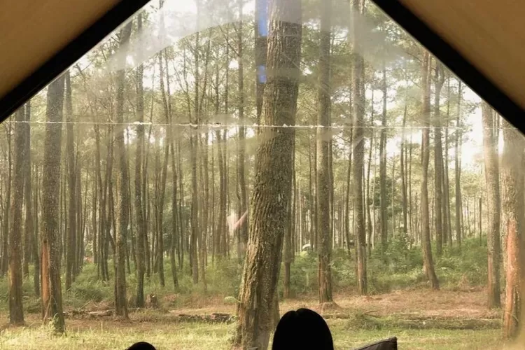 Suasana berbeda, temukan private kabin ditengah hutan, destinasi wisata alam Bobocabin Cikole. (Instagram @bobocabin)