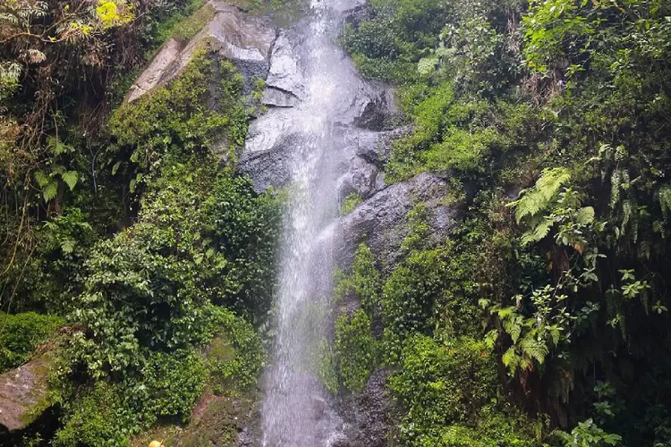 Air Terjun Umbul Songo, destinasi wisata alam pilihan di Salatiga. (Instagram @danarsibolang_)