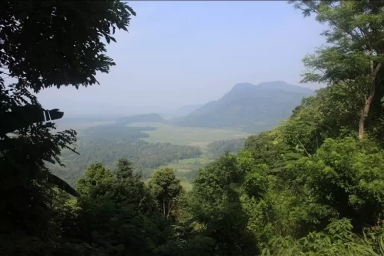 Cagar Alam Rawa Dano terletak di kawasan BKSDA Kota Serang, destinasi wisata alam yang layak dikunjungi.