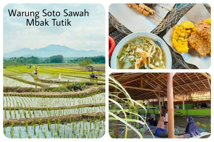 Warung Soto Sawah Mbak Tutik, wisata kuliner sambil menikmati destinasi wisata alam persawahan (Kolase penulis via picsart)