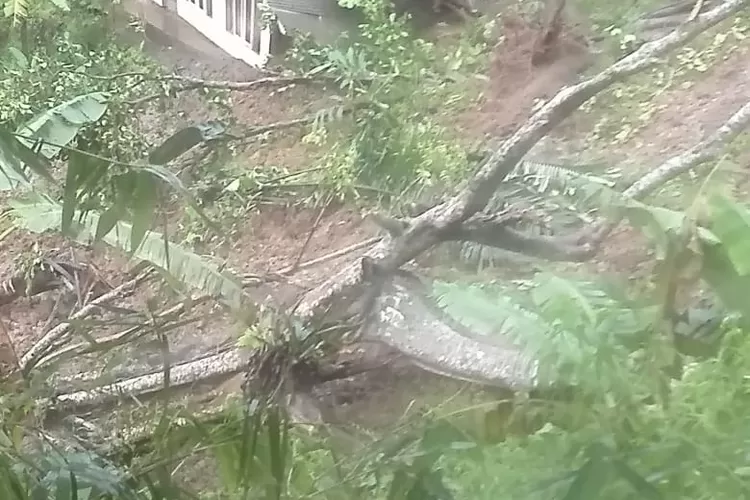 Hujan Deras Guyur Cianjur, Tiga Rumah Warga Diterjang Longsor (Ayobandung.com/Muhammad Ikhsan)