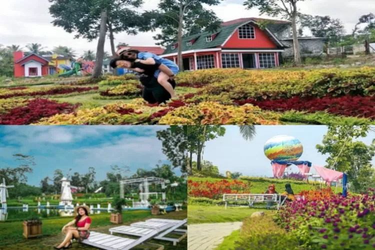 Rekomendasi Destinasi Wisata 'Alamanda Jogja Flower Garden' (Kolase beberapa Akun Instagram)