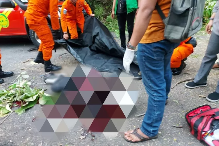 Seorang pengendara motor tewas tertimpa pohon tumbang di Ngaliyan Semarang.  (Polsek Ngaliyan)