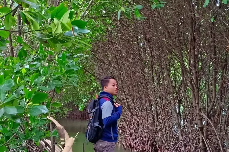 Spot foto di Ekowisata Hutan Mangrove di Muara Gembong Bekasi (Instagram @tag.bekasi)