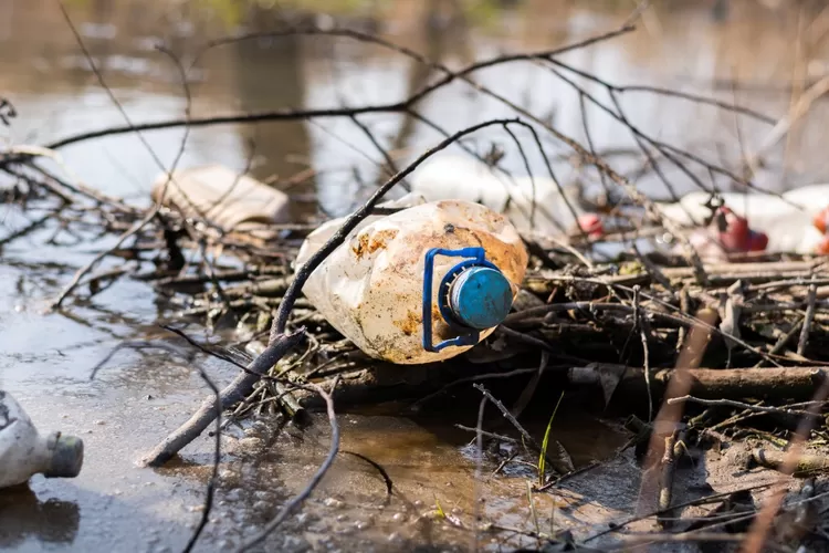 Sampah plastik yang mencemari lingkunga sungai di seluruh dunia (Freepik)
