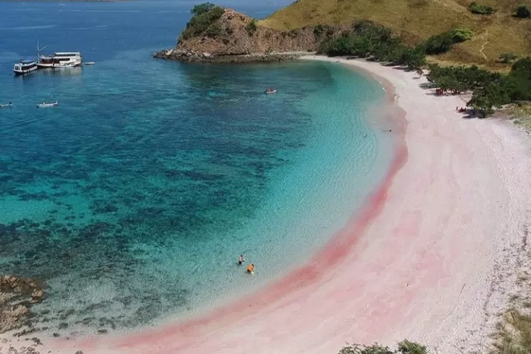Pasir merah muda wisata alam Pantai Pink Labuan Bajo, rumah bagi komodo dragon (Instagram @pesona.indonesia)