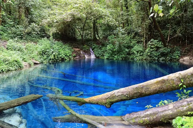 Keindahan wisata alam Danau Kaco Provinsi Jambi di tengah hutan rindang. (Instagram @danaukaco)