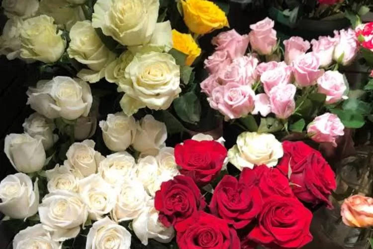 Ilustrasi bunga wangi yang dapat di jadikan bahan pembuatan parfume (Pinterest )