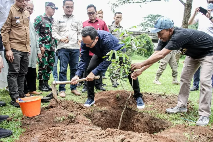 Kota Bogor Kini Miliki Kampung Rambutan, Ada di Kelurahan Curug