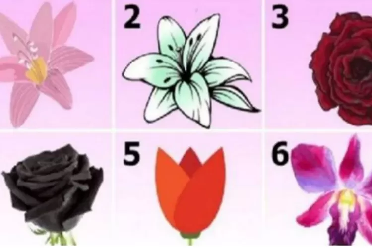 Tes kepribadian melalui bunga favorit yang dipilih akan mengungkapkan pikiran terdalam anda yang tersembunyi. (Mendoza Post)