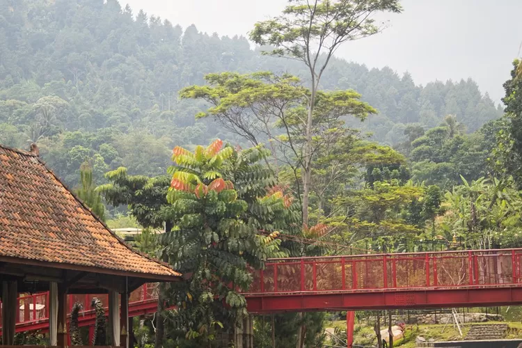 Pendopo Ciherang Sentul Bogor menjadi destinasi risata sekaligus tempat healing (Instagram @pendopociherang)