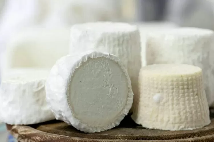 Keju yang terbuat dari susu keledai