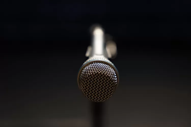 Ilustrasi Teks Pidato (Pexels/ marko sirila)