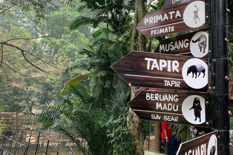 Kebun Binatang Siantar, destinasi wisata terbaik yang ada di Pematang Siantar (Instagram @zaza_dpn)