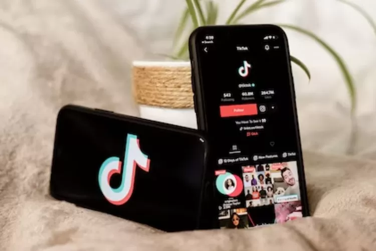 Ilustrasi download video TikTok secara gratis