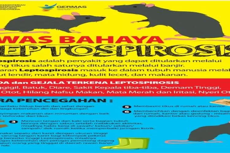 Ilustrasi Penanganan Bahaya Leptospirosis (Elizabeth Widowati)