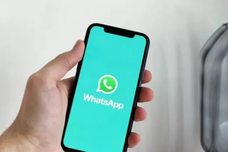 Tercatat 6.838 Laporan Masyarakat Terkait WhatsApp Layanan Pesan Milik Meta  (Istimewa)