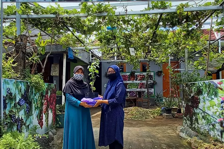 Mari menikmati wisata gratis Kampung Anggur Plumbungan di daerah Bantul, Yogyakarta (Instagram @kampung_anggur_plumbungan)