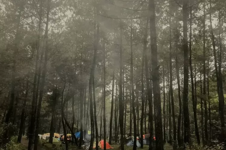 Bumi Perkemahan Bedengan, tempat camping di Kota Malang (Instagram @bedengancamp)