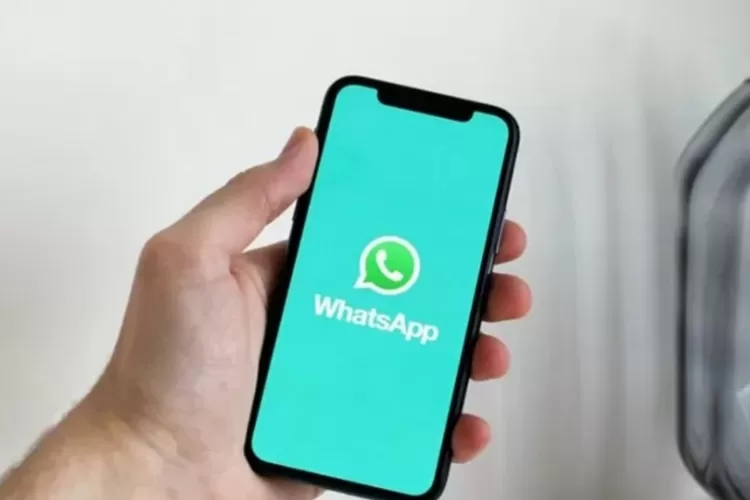 WhatsApp Down di Seluruh Dunia Jangan Bingung Ini Alternatifnya (Istimewa)
