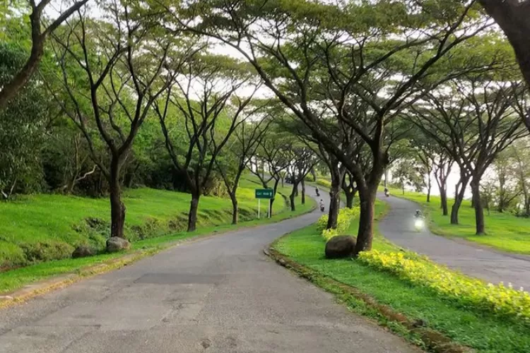 Bukit Pelangi Sentul Bogor Menawarkan Keindahan Di Siang Hari Namun