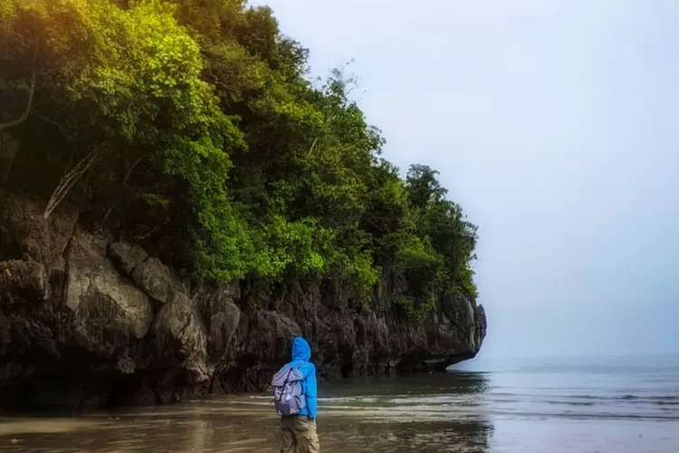 Panorama destinasi wisata Pantai Taipa yang ada di Kendari, Sulawesi Tenggara (Instagram @muhamad_irfan_al_ayyubi)