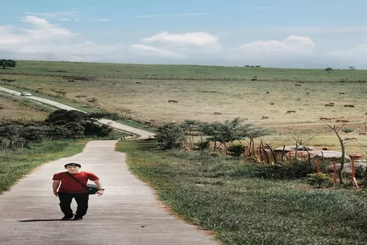 Padang Manganteh, destinasi wisata yang menyuguhkan suasana seperti berjalan&ndash;jalan  di luar negeri   ( instagram @ adventuretravels)